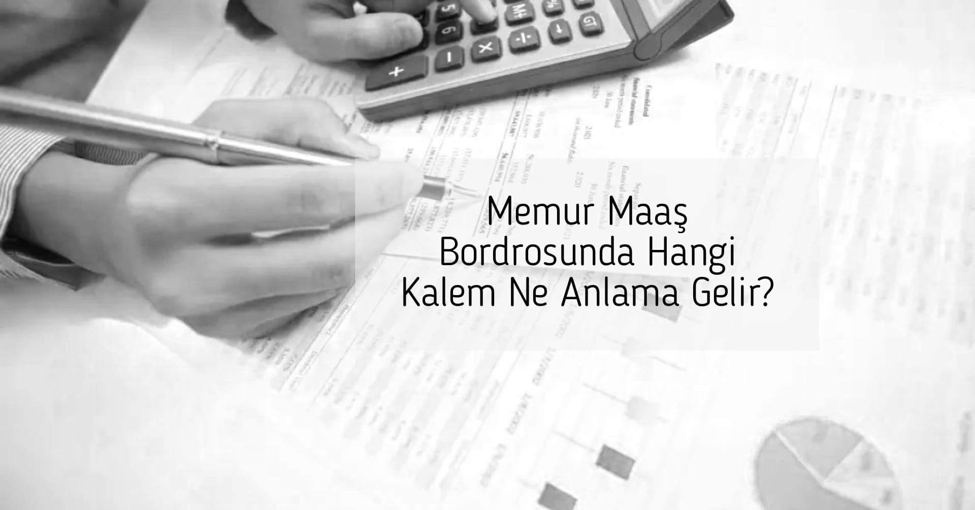 Memur Maaş Bordrosunda Hangi Kalem Ne Anlama Gelir?