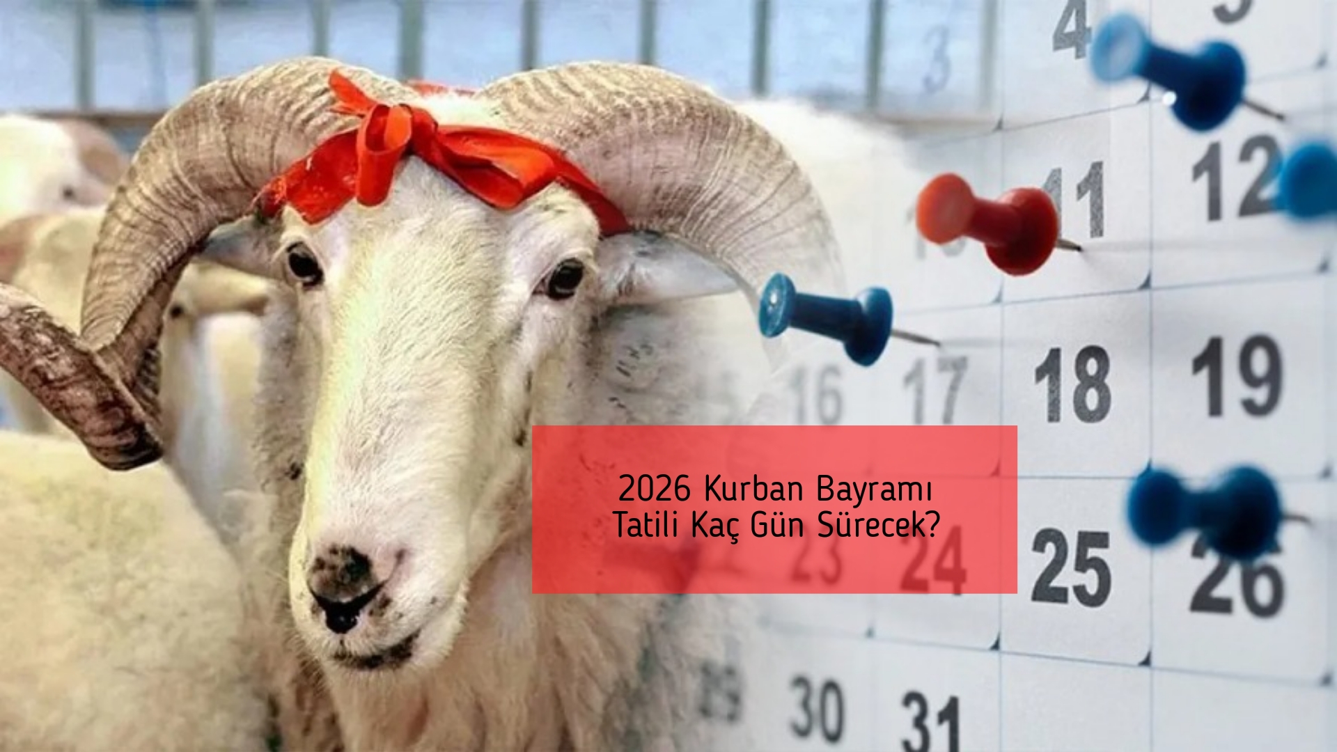 2026 Kurban Bayramı Tatili Kaç Gün Sürecek?