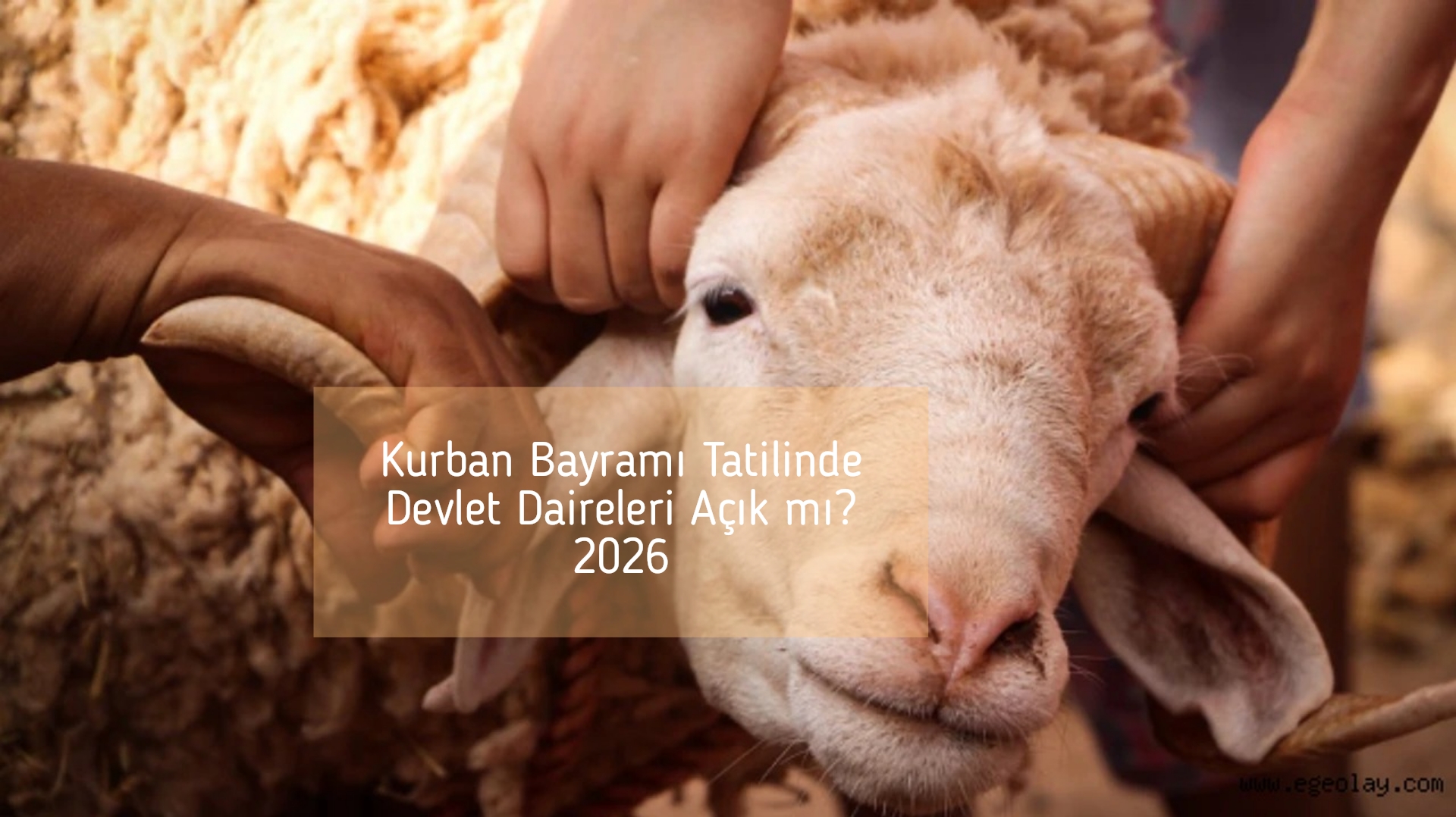Kurban Bayramı Tatilinde Devlet Daireleri Açık mı?