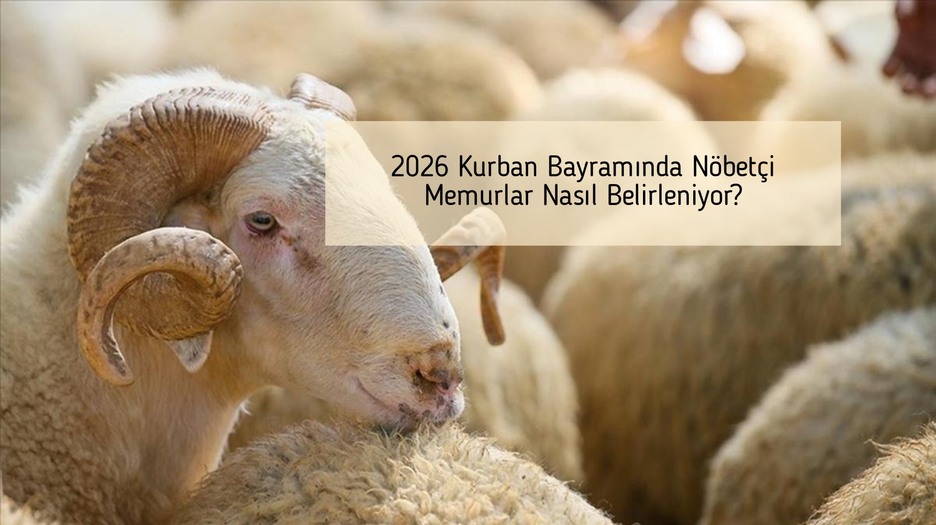 2026 Kurban Bayramında Nöbetçi Memurlar Nasıl Belirleniyor?