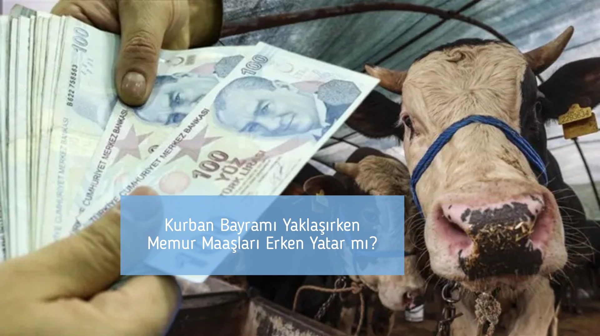Kurban Bayramı Yaklaşırken Memur Maaşları Erken Yatar mı?